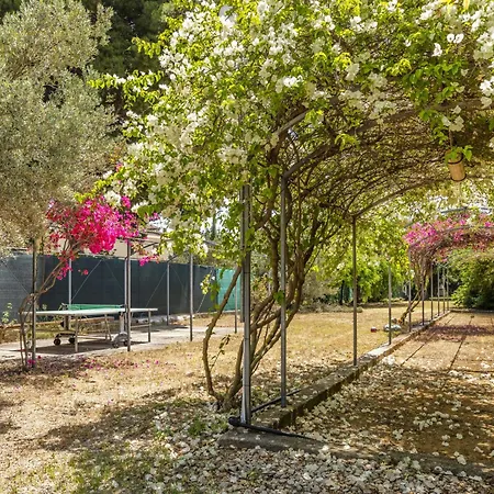 Appartement Cicladi-2 By Interhome
